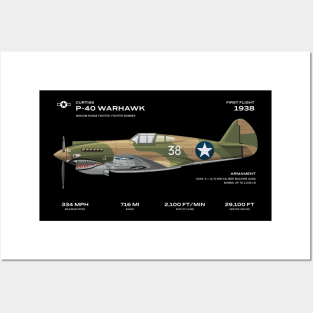 ww2 fighter plane curtiss p-40 warhawk aircraft world war 2 Posters and Art